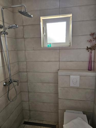 Bilik mandi di Mala Smokva Apartments Vir Prezida