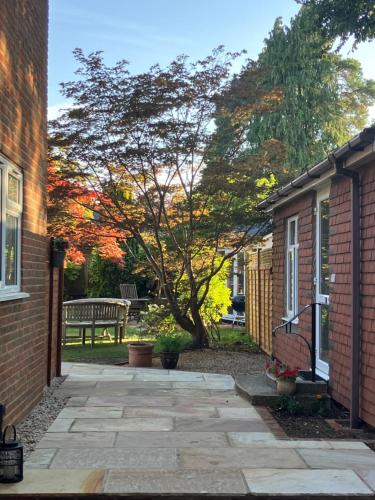 a walkway between two buildings with a tree and a bench at Imaginarium in Southampton