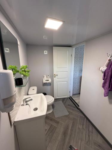 a bathroom with a white sink and a toilet at ILSA camping in Bauska