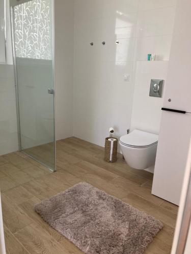 Un baño con inodoro y ducha de cristal. en Seaside Apartment, en Trzęsacz