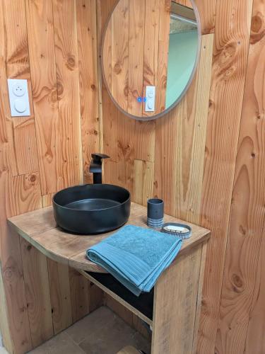 a bathroom with a sink and a mirror on a wooden wall at Studio Eco-Rénové in Saint-Christophe-sur-le-Nais