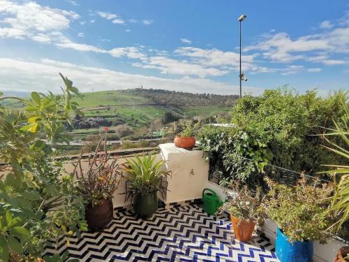 a balcony with potted plants and a view of a hill at Spacious Apartment in Fès with Private Pool, 150 sqm in Fez