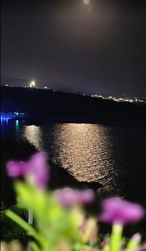 a view of a body of water at night with purple flowers at Home Majka in Sarandë
