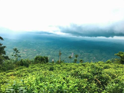 a view of the mountains from a hill with a field of vegetation at Juno Homestay in Mulatiyana