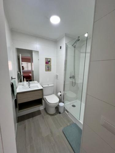 a bathroom with a toilet and a shower and a sink at Urbano y céntrico dpto in Concepción