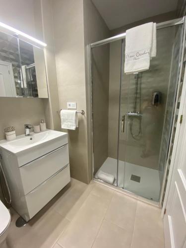 a bathroom with a shower and a sink at Petit luxe à Tolède in Toledo