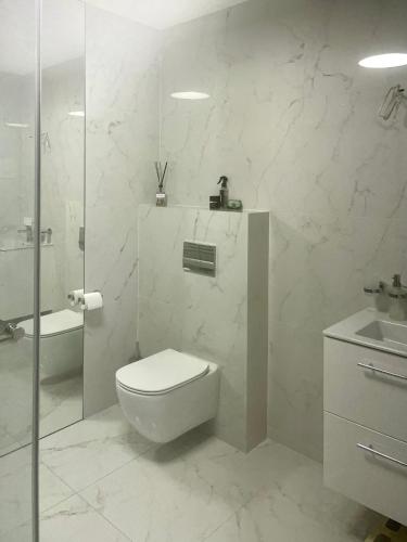 a bathroom with a toilet and a shower and a sink at Hipodromo street Palanga in Palanga
