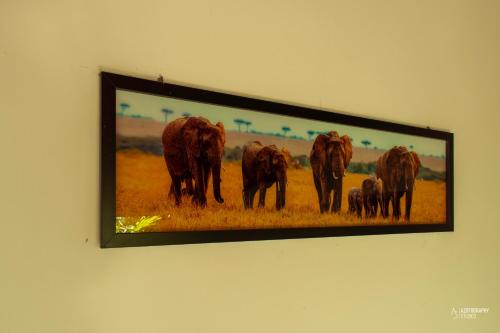 Animales en la villa o alrededores