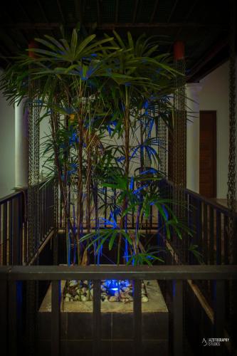 Imagen de la galería de 4BR AC Private Villa Kandy, en Kandy