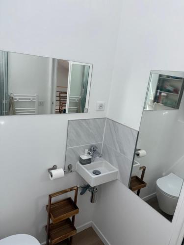 a bathroom with a sink and a toilet and a mirror at Dépendance près de Fontainebleau in Vulaines-sur-Seine