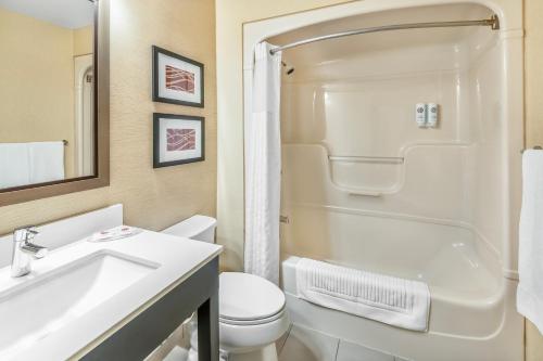 a bathroom with a sink and a toilet at Comfort Inn in Chatham