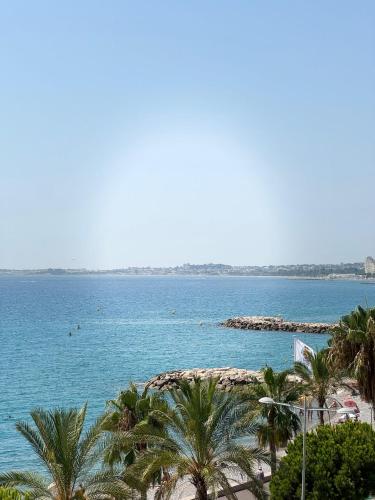 a beach with palm trees and a large body of water at Studio en bord de mer Cagnes-sur-mer avec Parking in Cagnes-sur-Mer