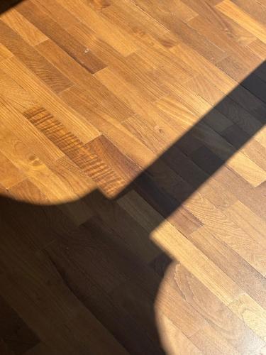 a shadow of a person on a wooden floor at Le Finestre Veneris in Portovenere