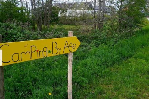 a yellow street sign in a field of grass at Gezellige caravan met weids uitzicht nabij Sneekermeer in Terzool