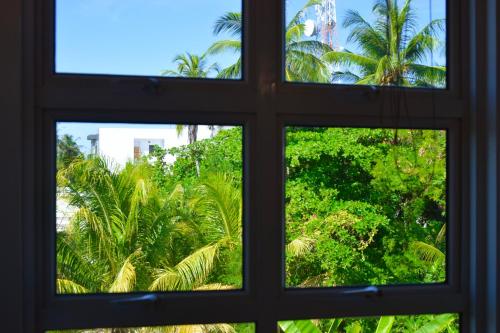 an open window with a view of palm trees at Antares Dhangethi & Spa in Dhangethi