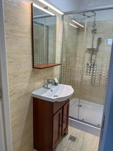 a bathroom with a sink and a shower at Mansarda Chiajna in Roşu