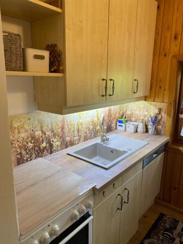 Η κουζίνα ή μικρή κουζίνα στο Alm Chalet on Mondsee Mountain, pets welcome!