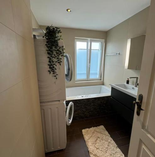 a bathroom with a toilet and a sink and a tub at Tolle Wohnung mit Seeblick! in Rorschach
