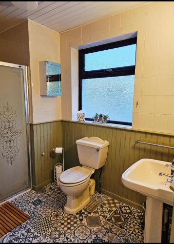 a bathroom with a toilet and a sink and a window at Red Robin Cottage in Castlewellan