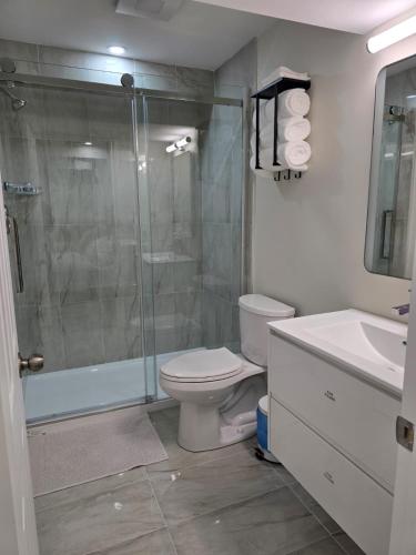 a bathroom with a shower and a toilet and a sink at Charming Suite in Cambridge