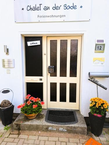 a front door of a building with two potted flowers at Chalet an der Bode - Schicke 3 Zi Fewo mit Balkon in Braunlage