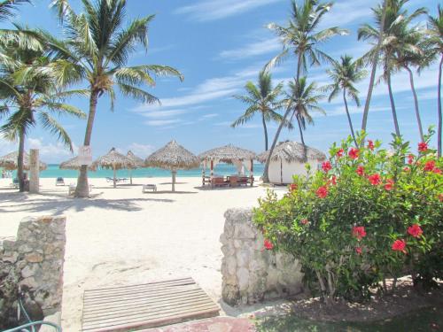 a beach with palm trees and the ocean at CARIBBEAN VILLAS and SUITES - LOS CORALES beach - free wifi, free breakfast in Punta Cana
