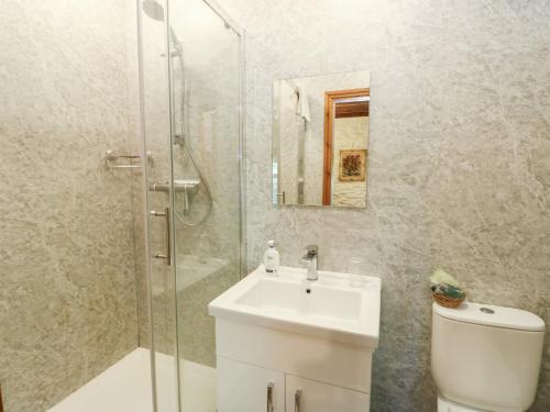 a bathroom with a toilet and a sink and a shower at Royal Oak Farm Cottage in Betws-y-coed