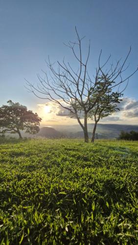 two trees in a grassy field with the sunset in the background at Solar de Bonito in Bonito