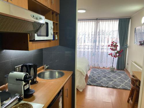 a kitchen with a sink and a bed in a room at Atelier Bellas Artes in Santiago