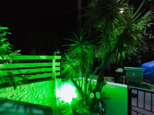 a green light in a garden with palm trees at Akrata Golden Beach House in Aíyira