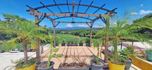 a pergola with palm trees and plants in pots at Club Heasa - Men Only in La Garita