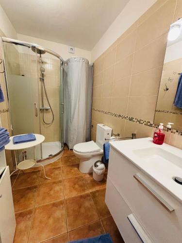a bathroom with a shower and a toilet and a sink at Neptuno Beachfront Retreat with smart TVs and Terrace in Puerto de Santiago
