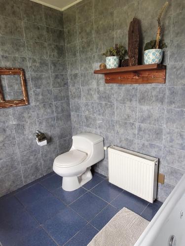 a bathroom with a toilet and a bath tub at Hostal Boutique El Vergel Azul in Castro