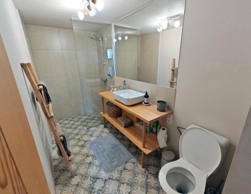 a bathroom with a sink and a toilet and a mirror at Penzión Tatroom in Poprad