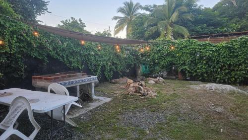 a backyard with a picnic table and a fence with trees at Sweet Dreams in San Carlos