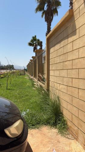 a brick wall next to a fence with a palm tree at Appartement au cœur de la nature route Saïdia in Berkawe
