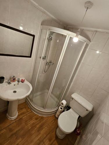 a bathroom with a shower and a toilet and a sink at Entire 2 Bedroom Apartment City Centre & Stadium in Cardiff