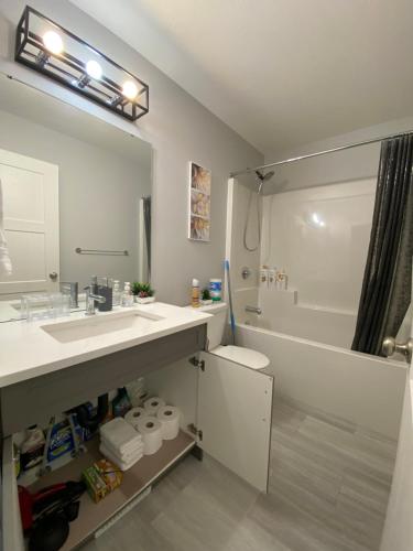 Un baño con lavabo, inodoro y ducha. en Greensville Suites, en Regina