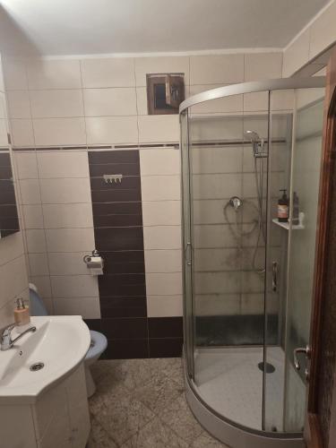 a bathroom with a shower and a toilet and a sink at Apartament Matei in Timişoara