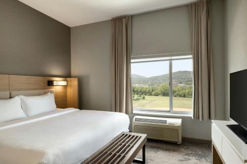 a hotel room with a bed and a large window at SpringHill Suites by Marriott Roanoke in Roanoke