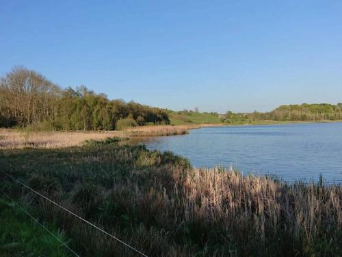 a body of water next to a field of grass at 4 star holiday home in Faaborg-By Traum in Fåborg
