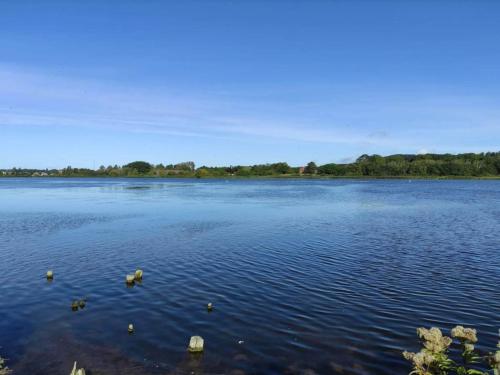 a large lake with ducks in the water at 4 star holiday home in Faaborg-By Traum in Fåborg