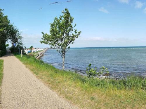 a dirt road next to a body of water at 5 person holiday park in Bogense in Bogense