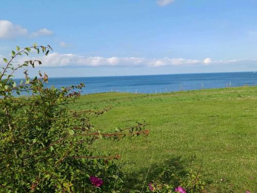 a field of green grass with the ocean in the background at 4 person holiday home in Frørup-By Traum in Frørup