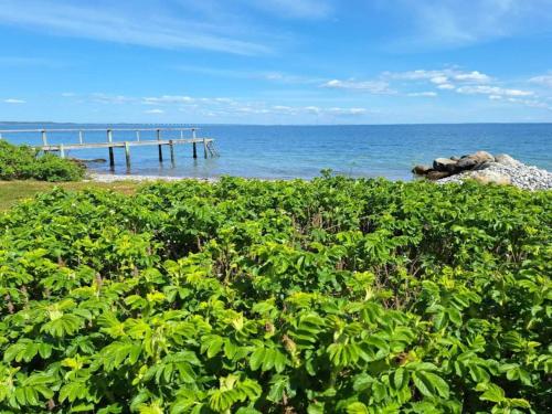 a pier in the ocean with a bush at 4 person holiday home in Frørup-By Traum in Frørup