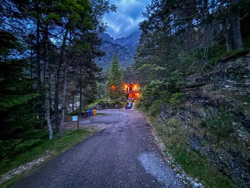 a road in a forest with a car on it at Chalet Auralpina near Cortina Olympics Games 2026 in Borca di Cadore