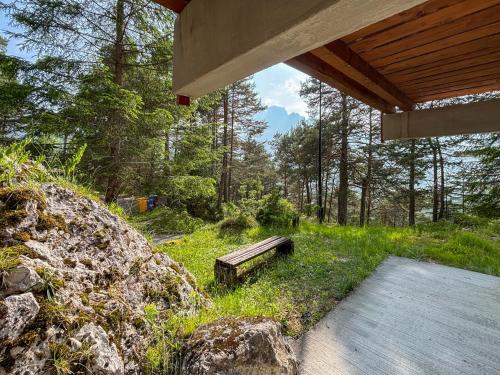 a bench sitting in the grass next to a forest at Chalet Auralpina near Cortina Olympics Games 2026 in Borca di Cadore