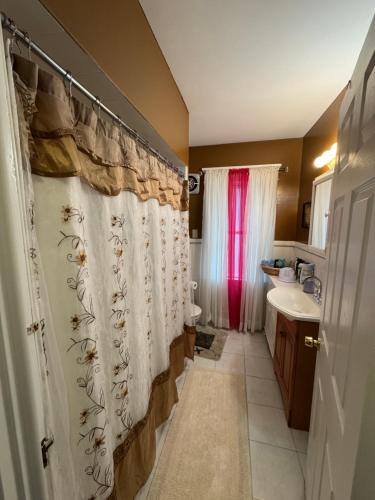 a bathroom with a shower curtain and a sink at The Paradise House steps from the Heart of Hertel in Buffalo