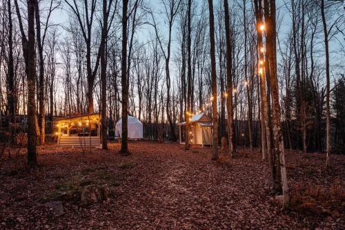 Φωτογραφία από το άλμπουμ του The Outlier Inn σε Woodridge