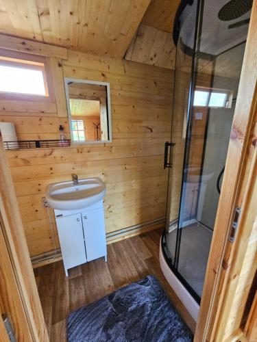 a small bathroom with a shower and a sink at Atpūta Priedītēs - koka namiņi pie Tērvetes Dabas parka ar zirgiem, ponijiem un dabas tuvumu in Tērvete